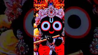 Hurdyasparshi jagannath ji odia status video 🙏🙏jayjagannath jagannath [upl. by Cirda]