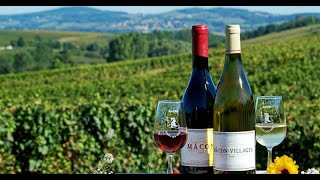 Les vins de Bourgogne [upl. by Elsbeth]