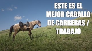 Red Dead Redemption 2 – ¿Dónde encontrar el caballo Fox Trotter de Missouri Mejor CarreraTrabajo [upl. by Teresita267]