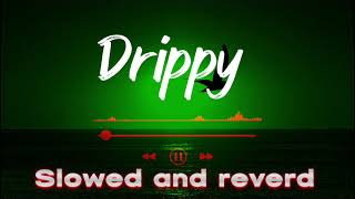 Drippy  Slowed and reverd   Sidhu Moose Wala  Mxrci  AR Paisley 256 kbps [upl. by Enywad]