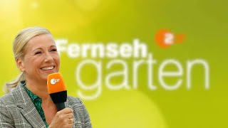 ZDF Fernsehgarten 08092024💯👍 live music party liebe [upl. by Ahsiele]