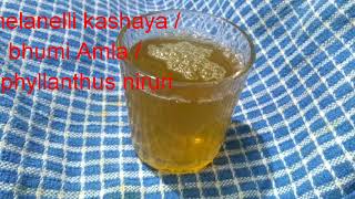 Healthy nelanelli kashaya  bhumi Amla kashaya phyllanthus niruri recipe [upl. by Ahens]