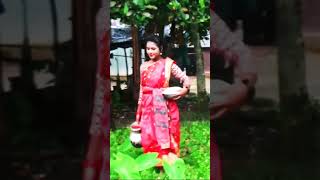 মফিজ সাবিনাসরকার banglapopular coversong ipdcআমাদেরগান skcmedia [upl. by Wurst]