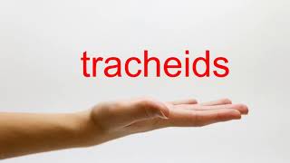 How to Pronounce tracheids  American English [upl. by Edmonds561]