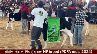 HF ਖੀਰੀਆਂ ਵੱਛੀਆਂ ਵਿੱਚ ਮੁੱਕਾਬਲਾ PDFA mela Jagraon 2024 [upl. by Einahpetse]