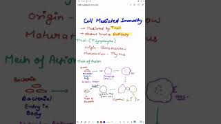 Cell mediated Immunity  Blood Physiology  MBBS 1ST YEAR [upl. by Ainnek]