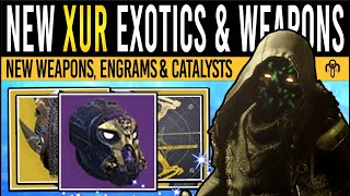 Destiny 2 RARE ARTIFICE ARMOR amp XURS WEAPONS 69 Roll Catalysts Exotics amp Class Items 22nd Nov [upl. by Hoang]