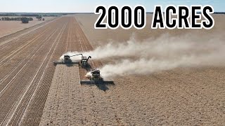 It’s a Big Paddock  Contract Harvesting Wheat  Harvest 2024  Vlog 326 [upl. by Hellah]