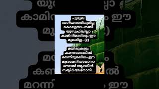 Poomukha bhangiyatharilumillakomalaram nabi yusufarannumashrikilum magribilum shortslyricsviral [upl. by Earased]