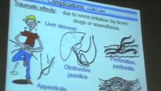 Dr Azza Helminths class Nematoda 1 Ascaris Lumbricoides YouTube [upl. by Thad362]