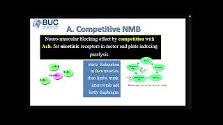 Skeletal Muscle Relaxants [upl. by Neeruam474]