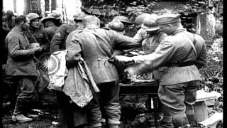 US 1st Division troops process German prisoners following the Battle of Cantigny HD Stock Footage [upl. by Ondine]