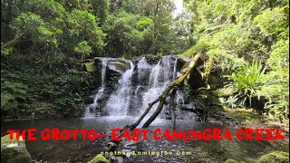 Lamington Adventures Up West Canungra Creek [upl. by Leen]