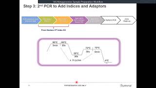 Illumina NGS Education  16S Metagenomics Sequencing Workflow ภาษาไทย [upl. by Noivax]