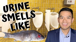 5 Reasons Why Your Urine Smells Like Fish  Explained by Urologist Dr Robert Chan MD [upl. by Akimehs507]