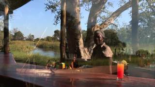 Botswana Safari Holidays [upl. by Kier]