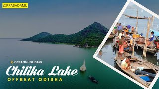 CHILIKA LAKE ODISHA [upl. by Thibaud]