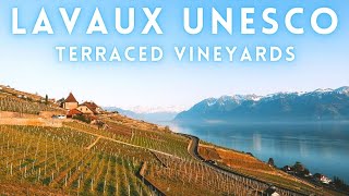 Lavaux Switzerland Drive  Terraced vineyards 4K [upl. by Renrut489]