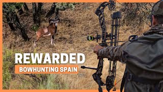 MOUFLON SHOT TWICE with BOW 💥 BOWHUNTING MOUFLON and RED STAGS in SPAIN 💥 REWARDED [upl. by Oigroeg]