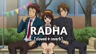 Radha  SOTY slowedreverb  Peace Please [upl. by Nainatrad]