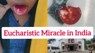 4 Eucharistic Miracles  Holy Host transforms into body of Christ St Sebastians Church INDIA [upl. by Ynnej]