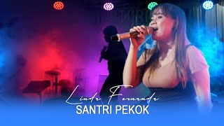 SANTRI PEKOK  LINDA FERNANDA  OM ALDEVA  FORUM SOUNDSYSTEM LOMBOK [upl. by Enylecoj]