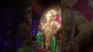 pleasesubscribe ganesh marathi mumbai pooja ganpatibappamorya trending [upl. by Ardnuasak635]