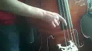 Lenzner Jazz gut strings [upl. by Dacy]