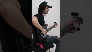 Pantera 5 minutes alone BASS [upl. by Garwood]