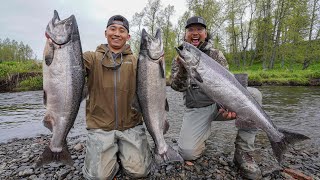 INSANE Alaska King Salmon Fishing CATCH CLEAN COOK [upl. by Ailemap664]