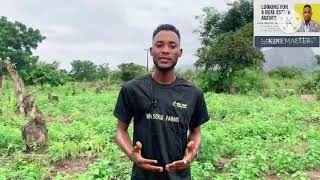 Buy  Farm  Earn  A Farm Land with Global C of O  Real Estate Nigeria Ibadan  MH Solar Farm [upl. by Brenza]