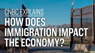 How does immigration impact the economy  CNBC Explains [upl. by Amari]