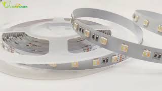 SMD5050 RGBWW 5 IN 1 60LEDs 24V IP20 LED Strip Light [upl. by Ahtnama]