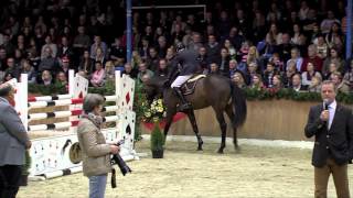 Campitello 2011 by Cador  Quick Star Stallion Show Sosath 2014 [upl. by Clifton]