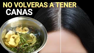 Todo el CABELLO Blanco se Pone Negro con Esta Receta [upl. by Amelina226]