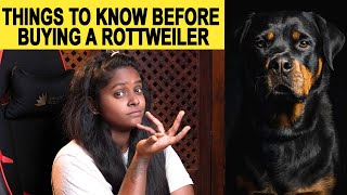 Things To Know Before Buying A Rottweiler in tamil rottweiler dog dogs [upl. by Halsey299]