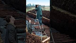 Ancient Engineering Marvels The 800Meter Road That Stunned Archaeologists [upl. by Eamon]