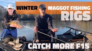 WINTER F1 FISHING  Maggot Rigs [upl. by Kerwon249]