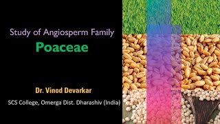 Study of Family Poaceae by Dr V D Devarkar [upl. by Graybill]