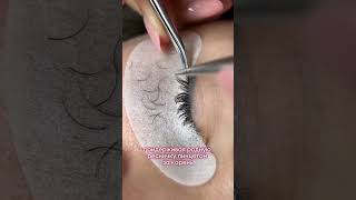 Lash🔥 lashes reels toplash topinstagram lashmaker lashmaster [upl. by Pheni]