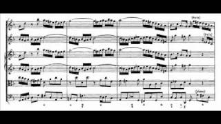 JS Bach  BWV 1043  1 Vivace dmoll  D minor [upl. by Geno]