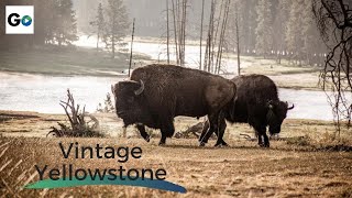 Vintage Yellowstone The Worlds First National Park  Full Vintage Documentary [upl. by Enila]