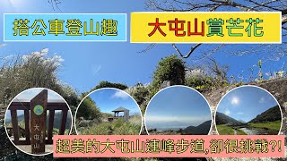 搭公車登山趣 陽明山已經是賞芒花的季節了ep158『從鞍部上大屯山主峰助航站觀景臺不留遺憾試著走完又濕又滑又陡的大屯西南峰連峰步道沿途山景太美了回程走面天坪二子坪遊憩區』 [upl. by Buderus133]