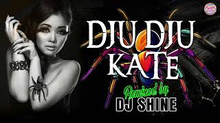 Dju Dju Kate  DJ Shine  Salecta  Daninho  Remix [upl. by Nowad]