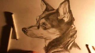 How to draw a REALISTIC DOG  MUST SEE THIS FANTASTICwmv [upl. by Melly]