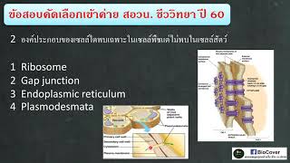 เฉลยข้อสอบ สอวน ชีวะ ปี 60 ข้อ 2  Gap junction และ Plasmodesmata [upl. by Anadroj]