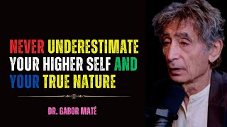 What We All Need To Know Before Its Too Late  Dr Gabor Mate [upl. by Hashum393]