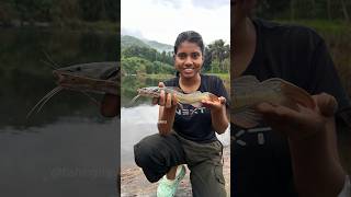 ഇതിന്റെ പേരറിയുന്നവർ കമന്റ് ചെയ്യൂ ☺️ youtube fishing trending viralvideo fishingtravellers [upl. by Ragouzis]