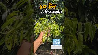 ১০ টন এসির বাতার যে গাছে দেয় 😮 agriculture aircooler health shorts ytshorts [upl. by Nwahsauq]