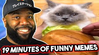 19 Minutes of FUNNY Memes NemRaps Try Not to Laugh 367 [upl. by Leggett]